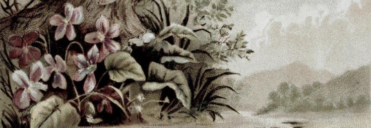 HerraCraigfordin7.2 - Yesterdays-Paper (DeviantArt)