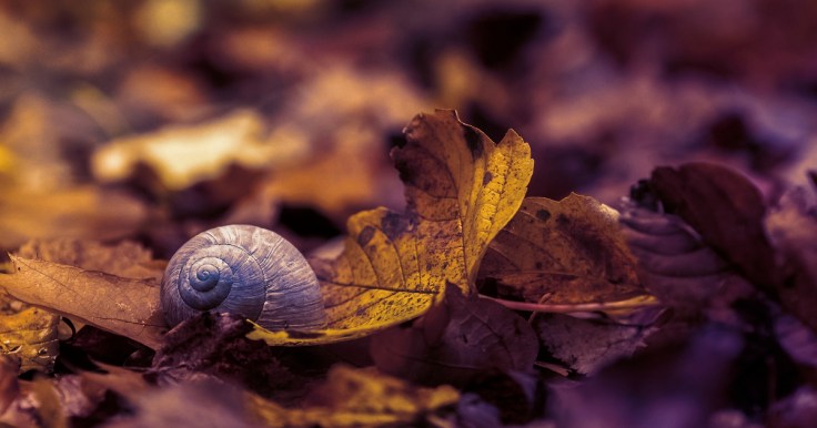 IhonläpituoksuuveriFBpreview